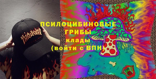 МДПВ Лагань