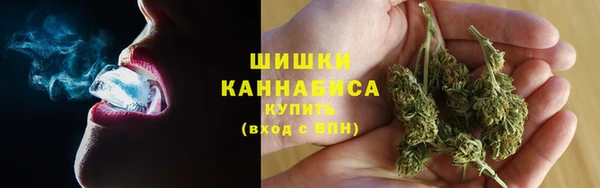 скорость Ладушкин