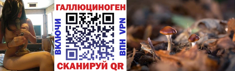 Псилоцибиновые грибы ЛСД  Купить где  Мещовск 