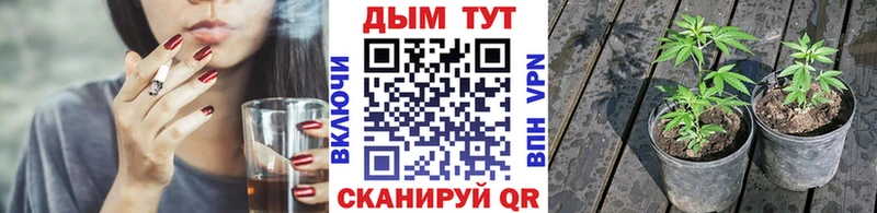 Купить  Мещовск  Бошки марихуана марихуана 